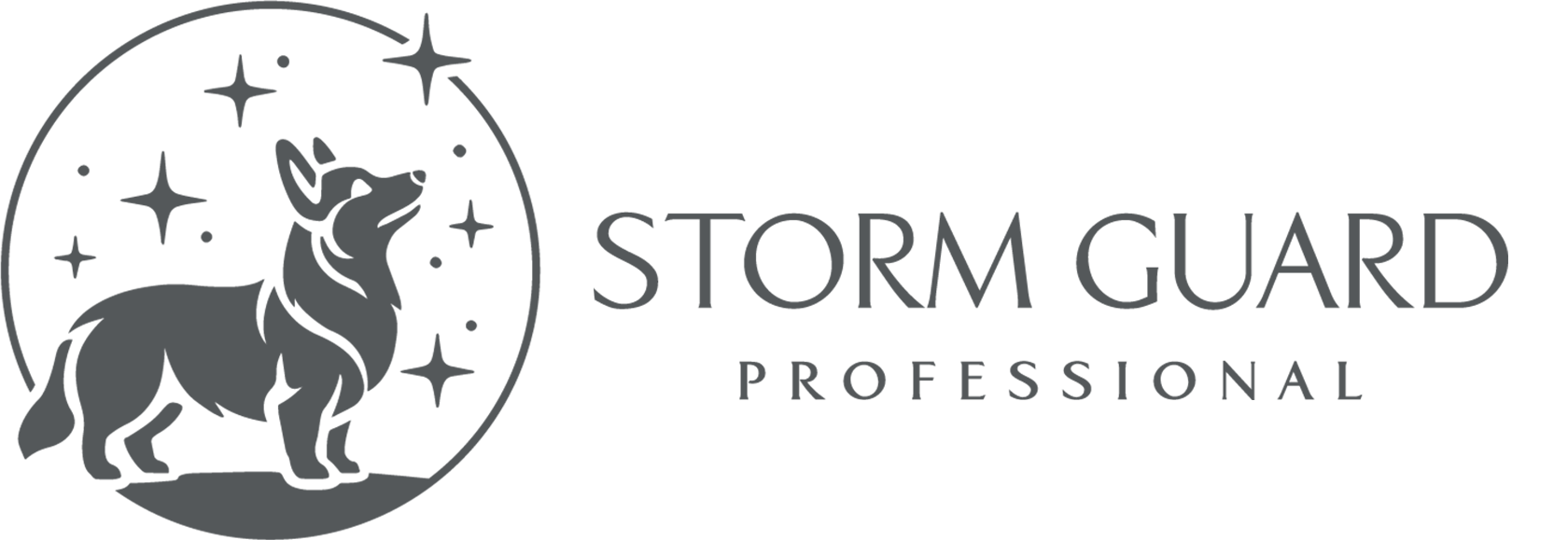Storm Guard Professional